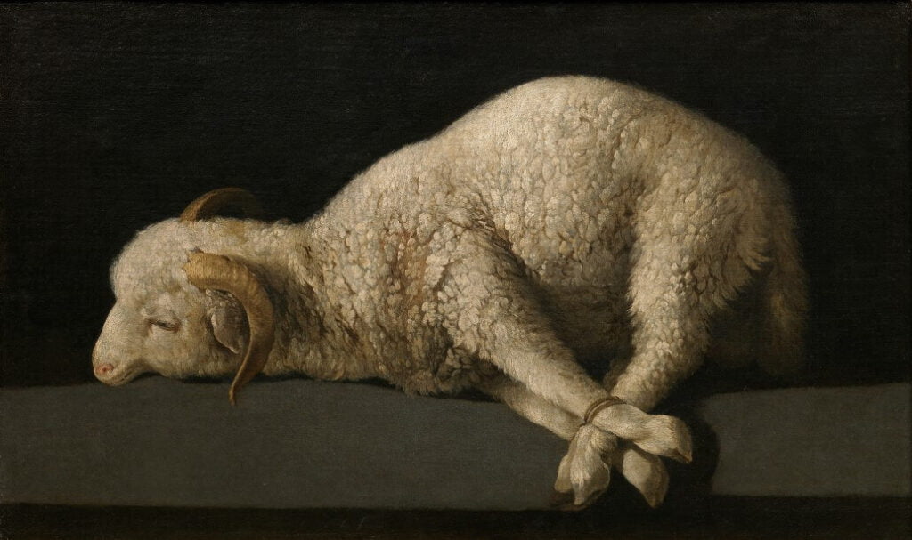 The Lamb of God, with its legs tied, lying on a table in preperation of sacrifice.
